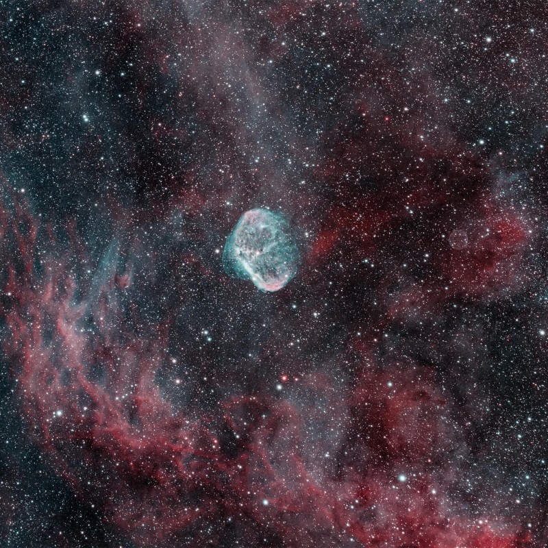 Crescent Nebula : NGC 6888 image