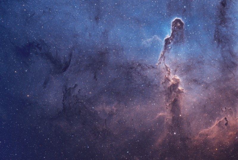 Elephant's Trunk Nebula IC1396