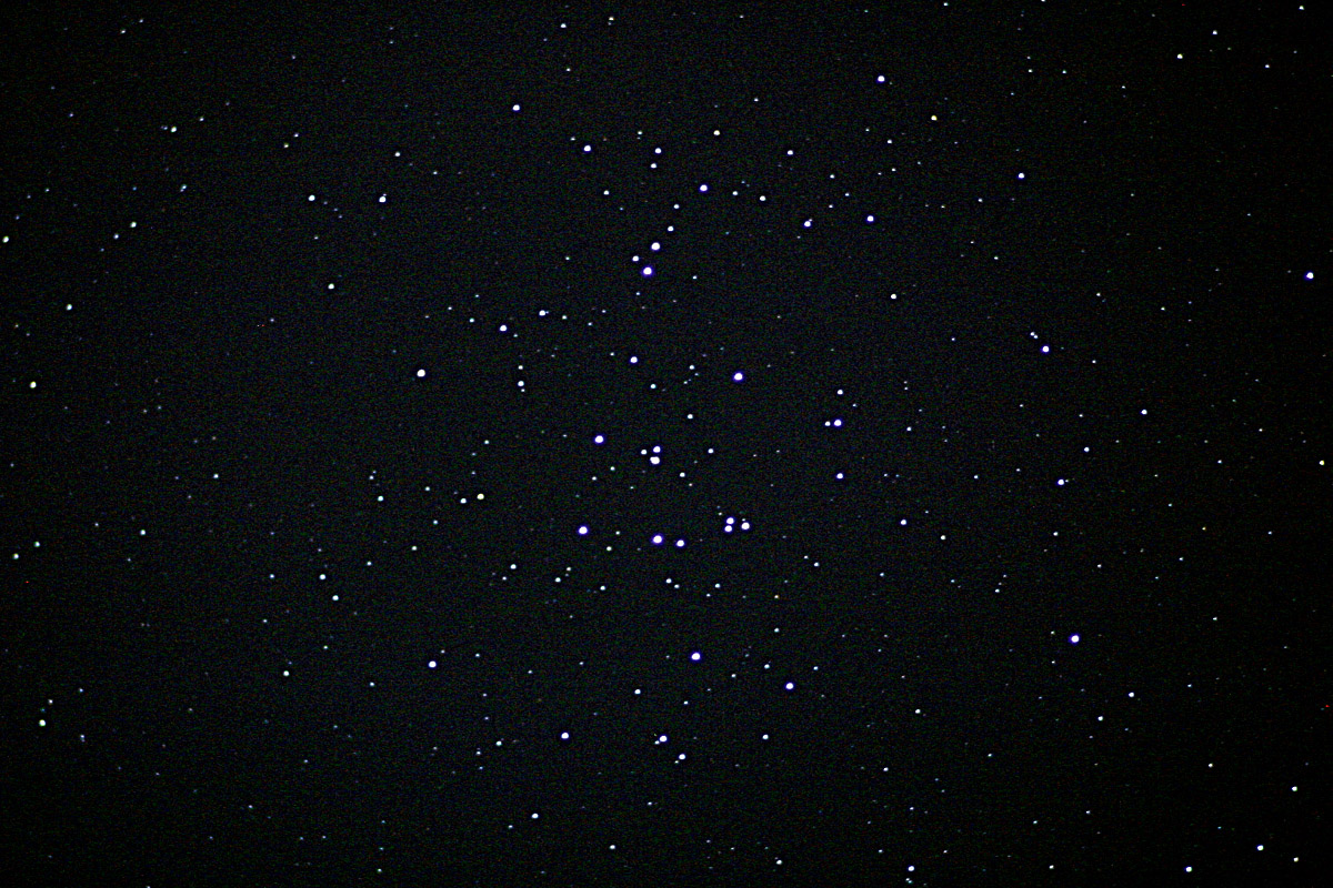 Beehive Star Cluster