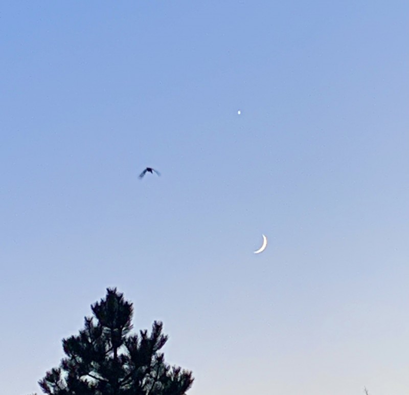 Fly to the Moon While Venus Watches