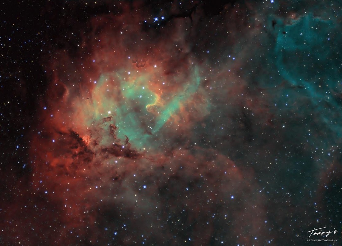 Lion Nebula image