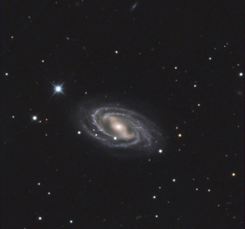 M109 crop