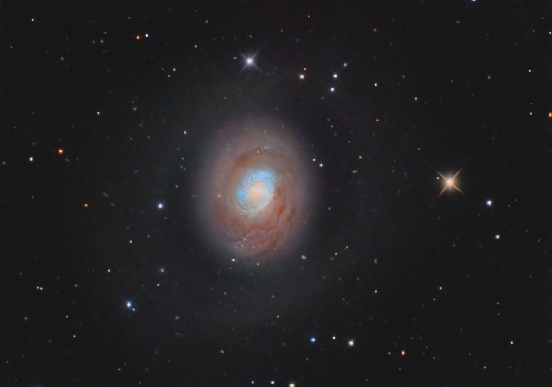 M94