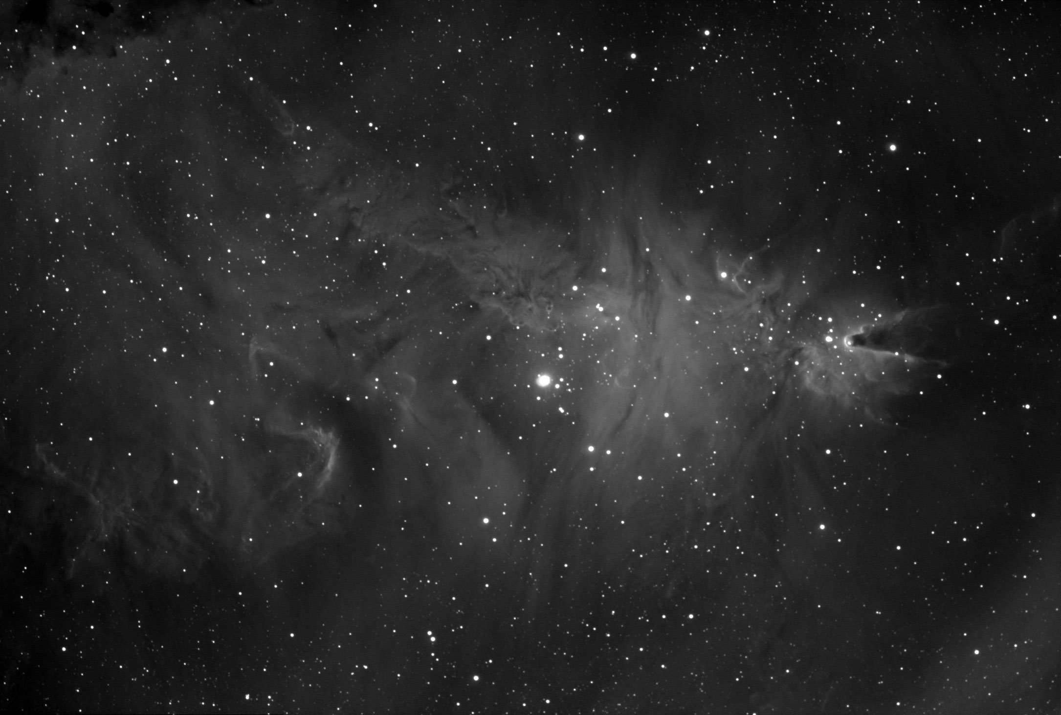 Cone Nebula Region in Ha