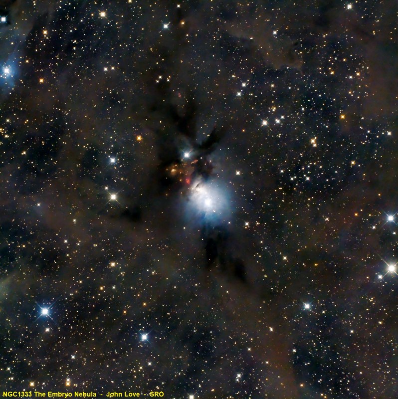 NGC1333 Embryo Nebula