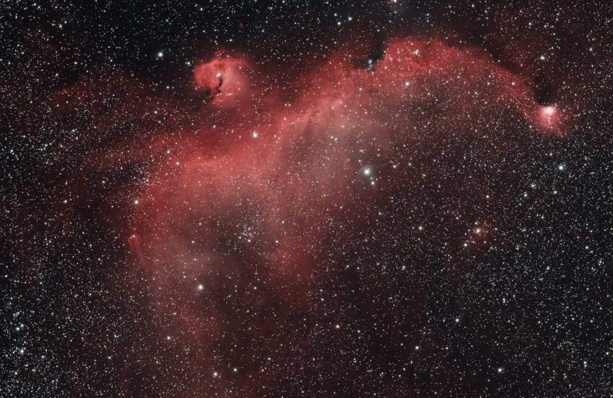 Seagull nebula