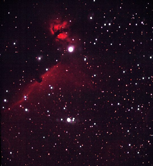 horsehead and flame