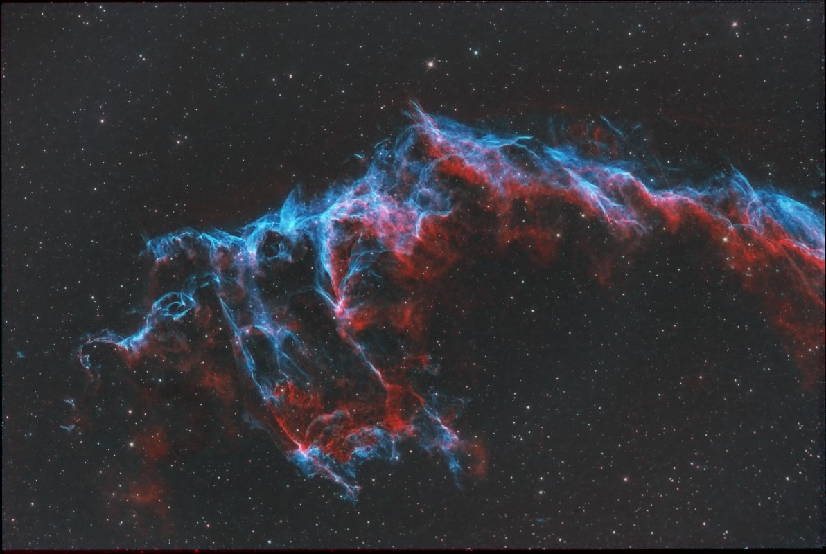 Bat Nebula NGC 6995 image