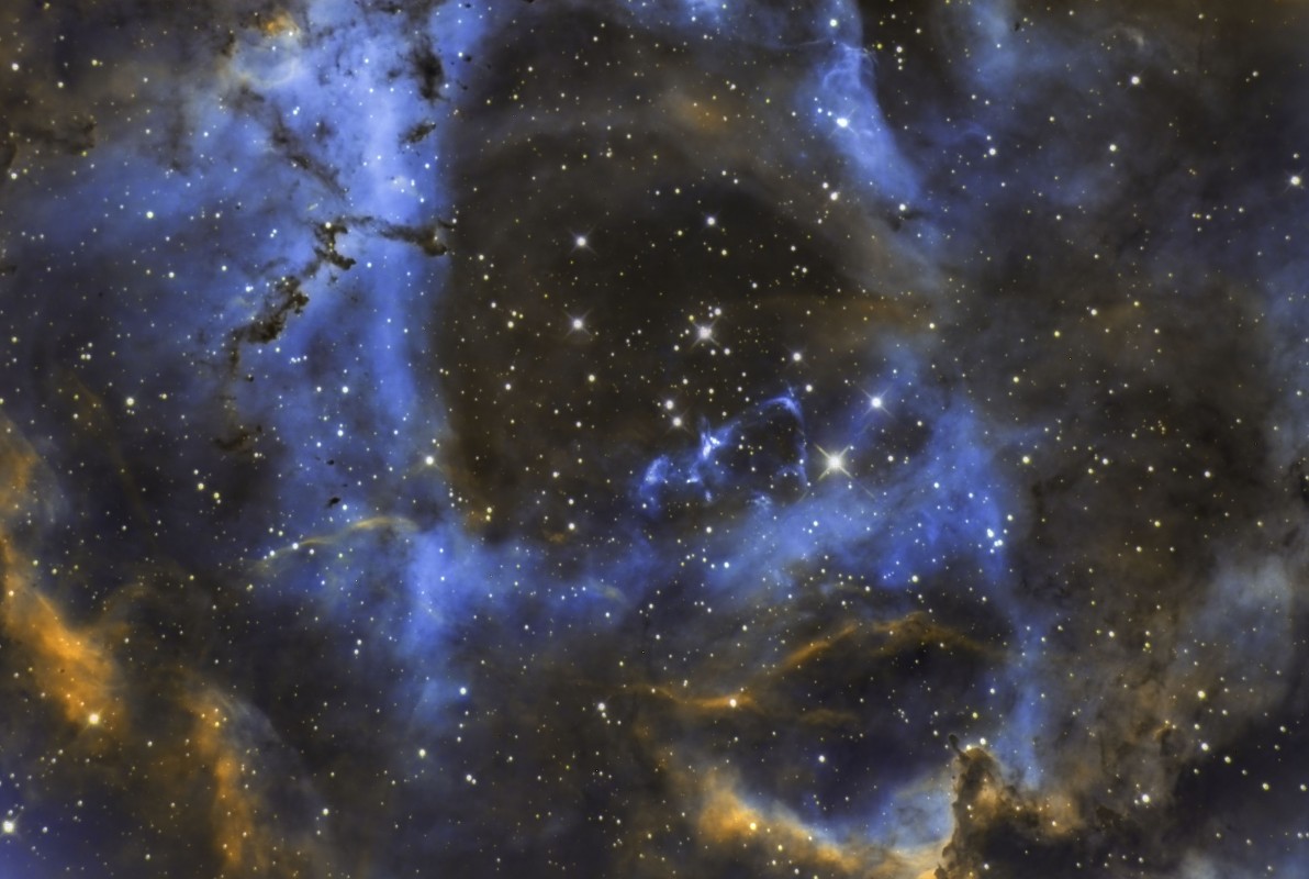Rosette Nebula up close image