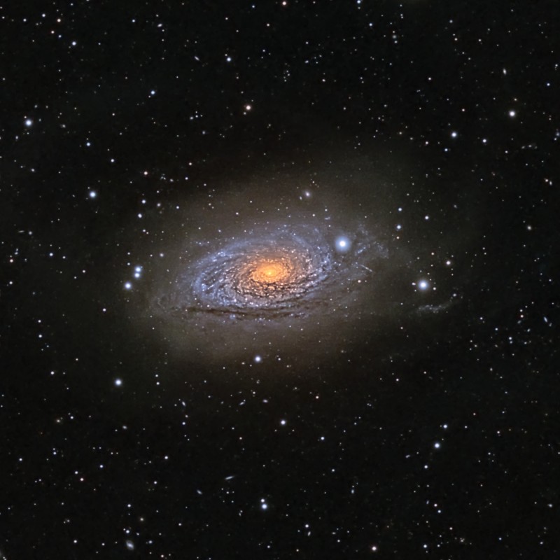Sunflower Galaxy (M63) image