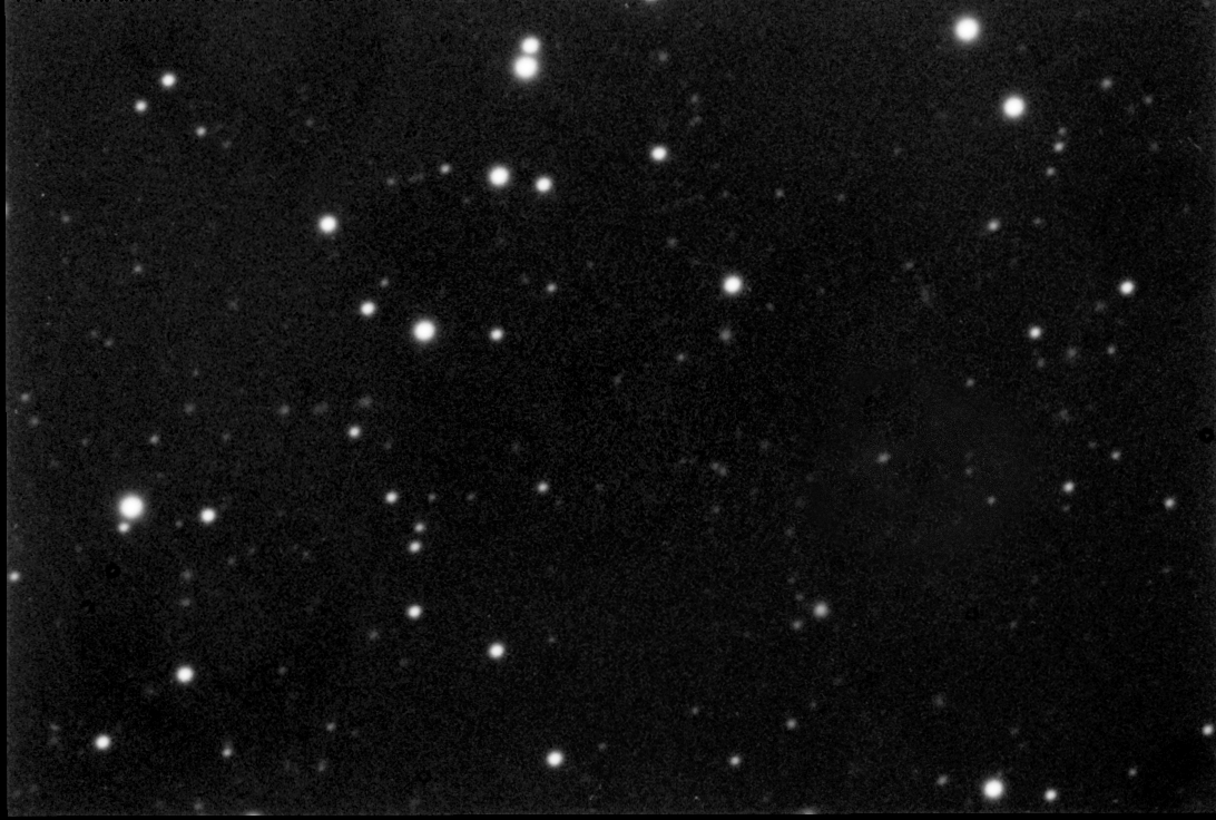 Sedna