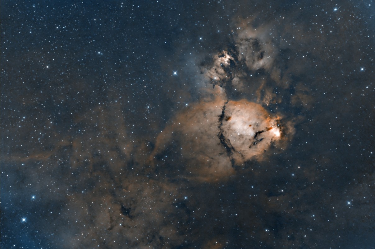 IC1795 image