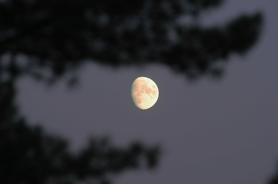 Muskoka Moon