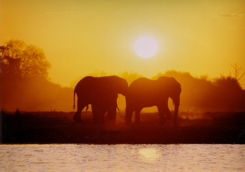 Okavanga Sunset
