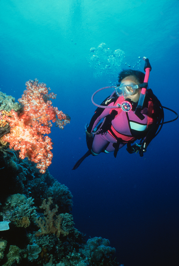 Diver and Soft Coral