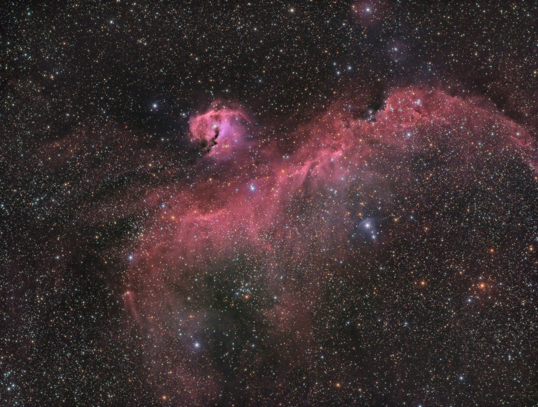 IC2177 Seagull Nebula