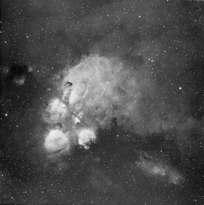 The Cats Paw Nebula