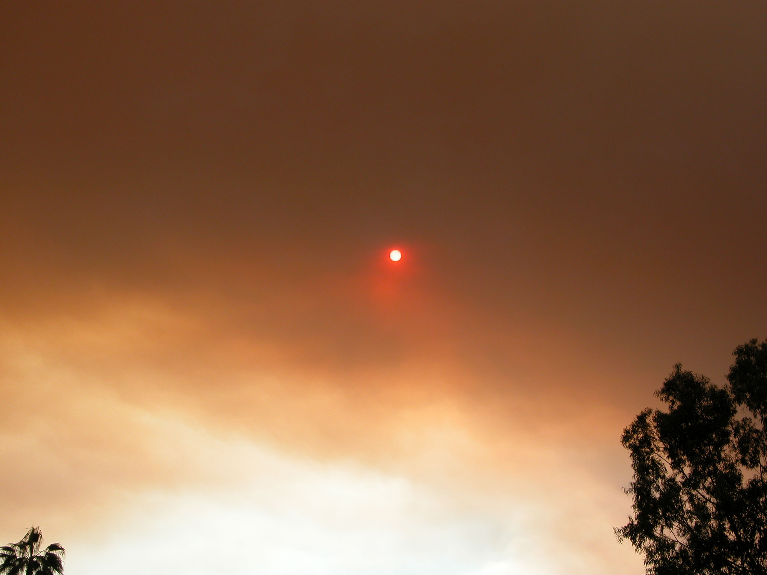 Sun and smoke