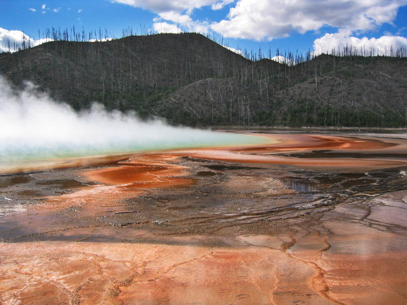 Yellowstone Desolation