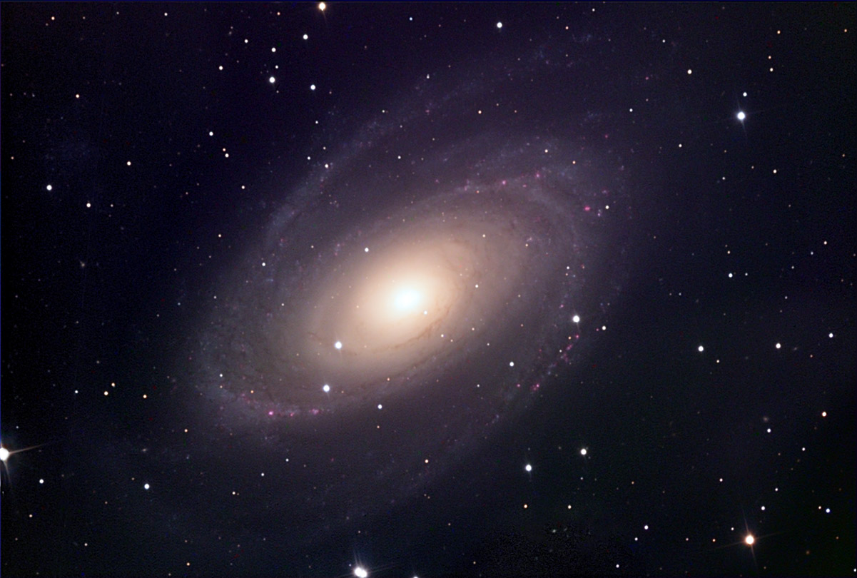 M81