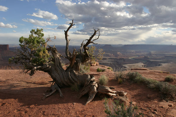 Canyonlands I