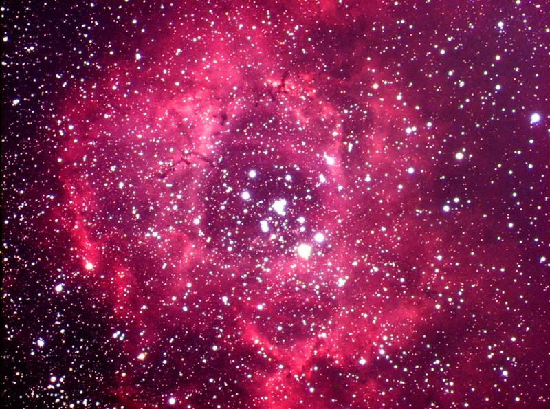 Rosette Nebula
