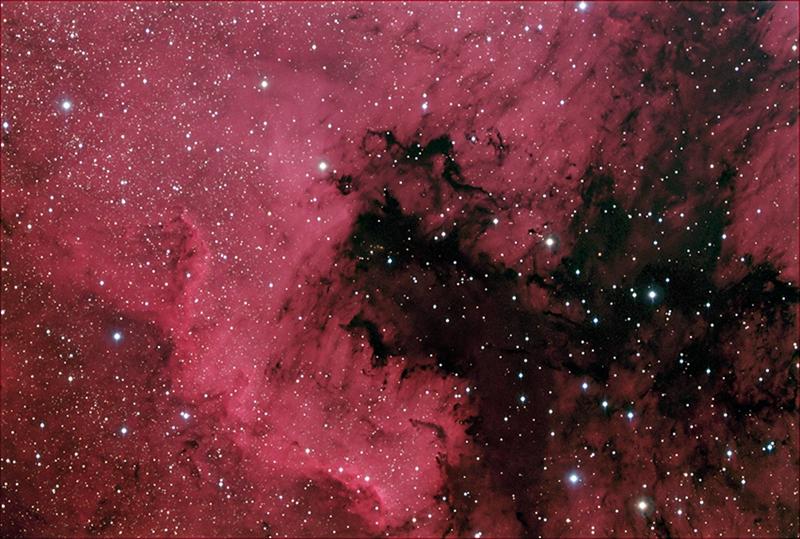 NGC 7000 - The Great Cygnus Rift