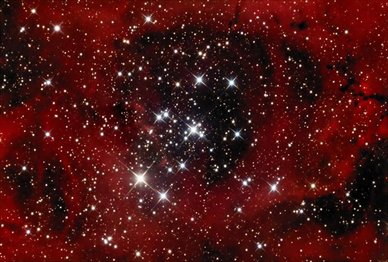 NGC 2239/2244 - Open Cluster in Monoceros