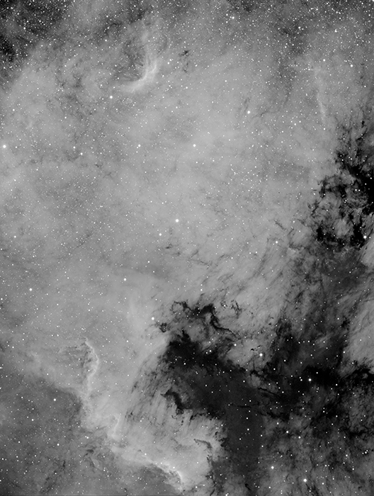 NGC 7000 - North America Emission Nebula in Cygnus