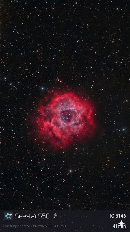 Rose Nebula