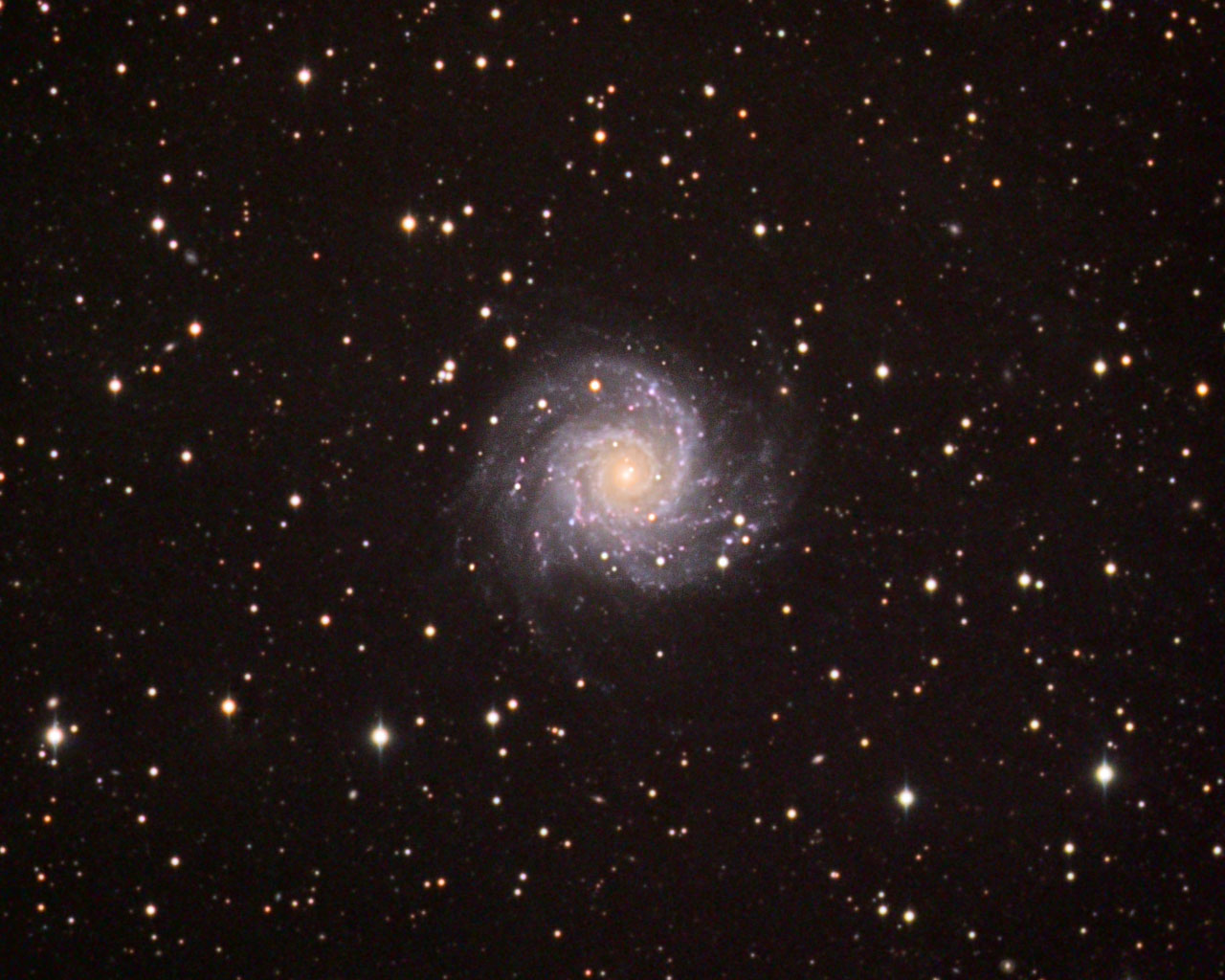 M-74