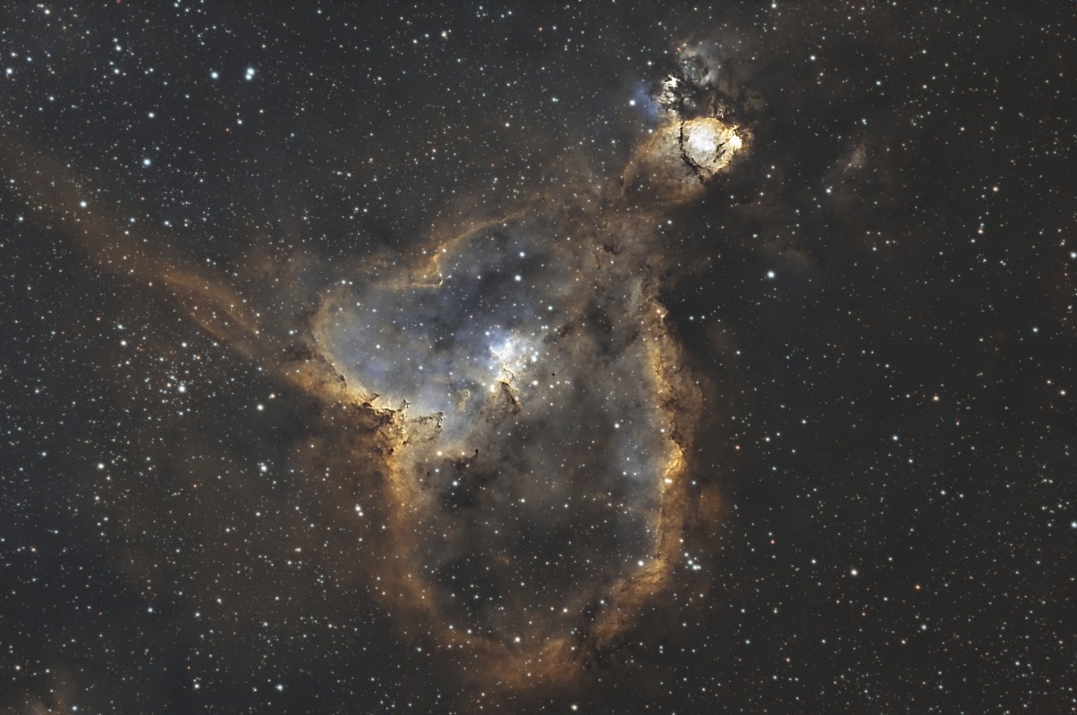 The Heart Nebula image