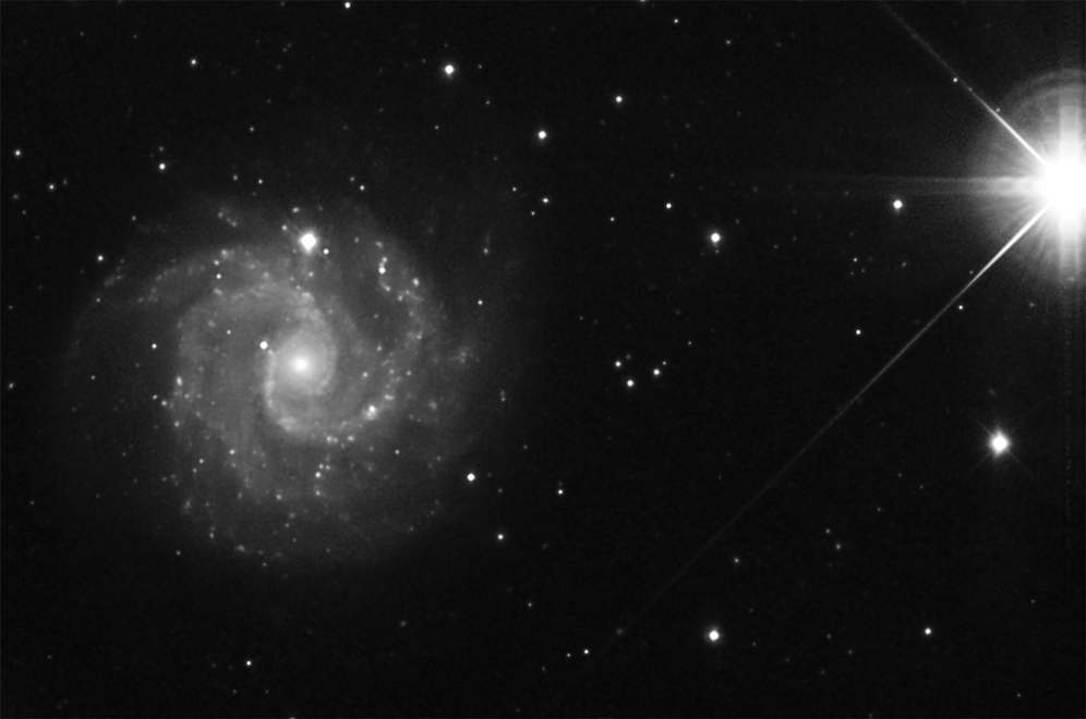 NGC3184