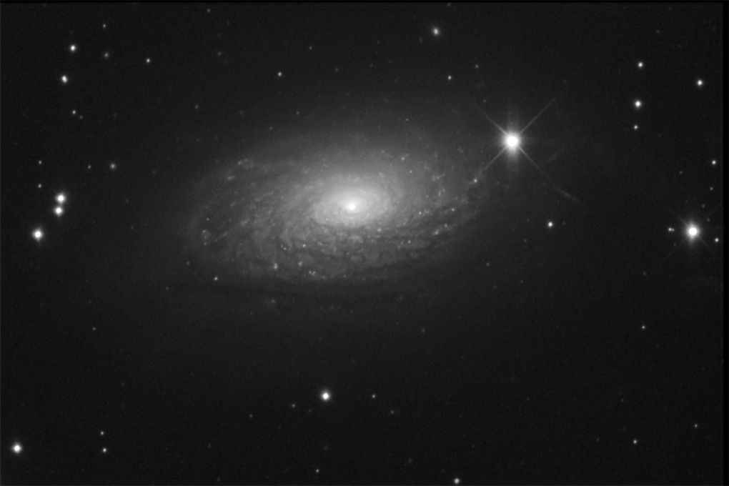 M63 The Sunflower