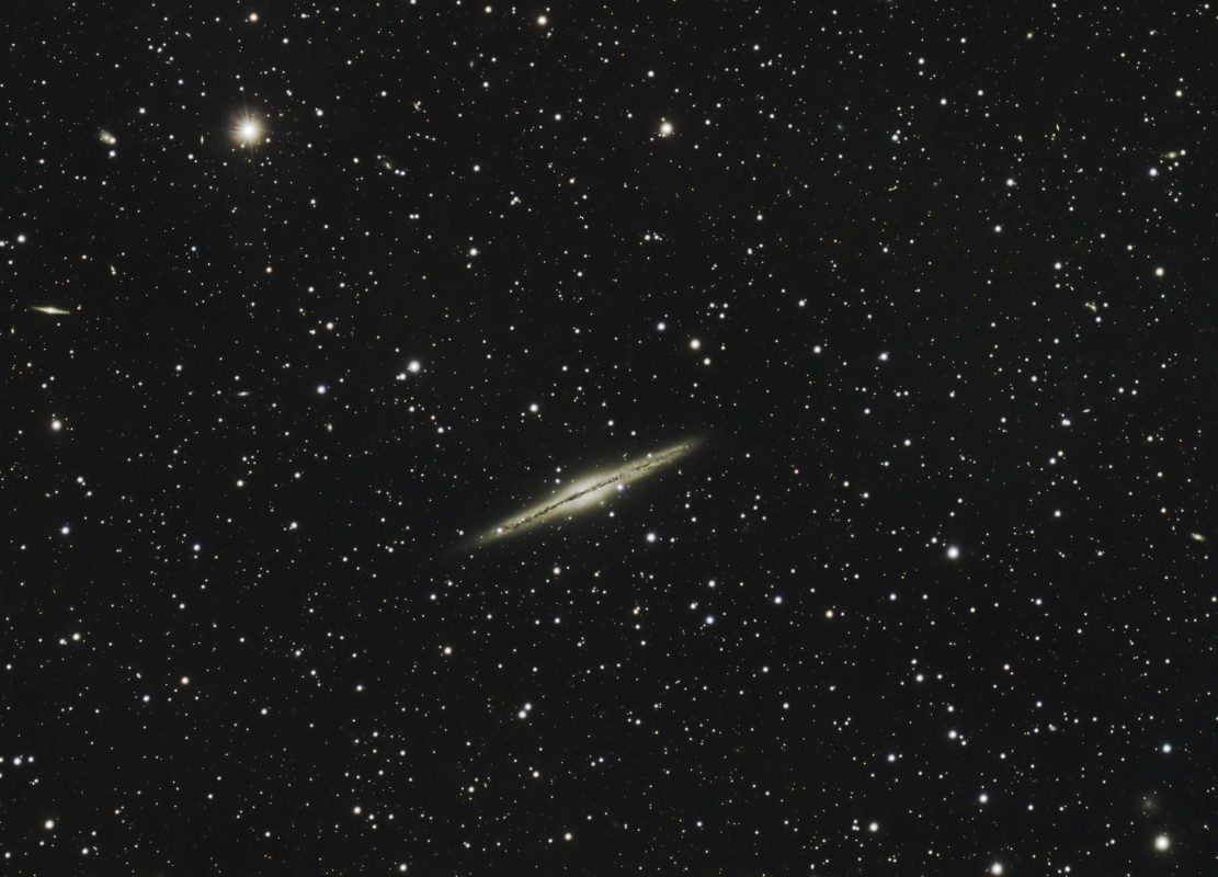 NGC891