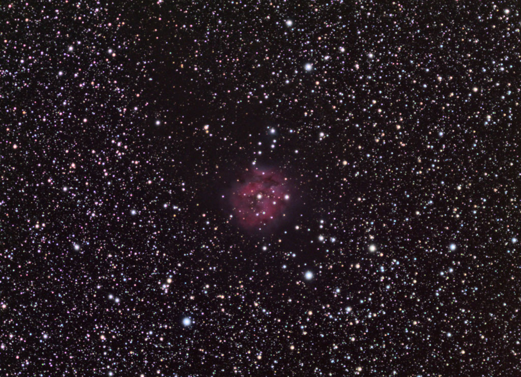 Cocoon Nebula