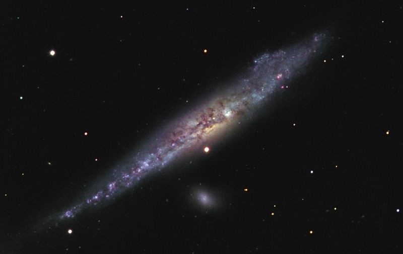 NGC 4631 -- The Whale