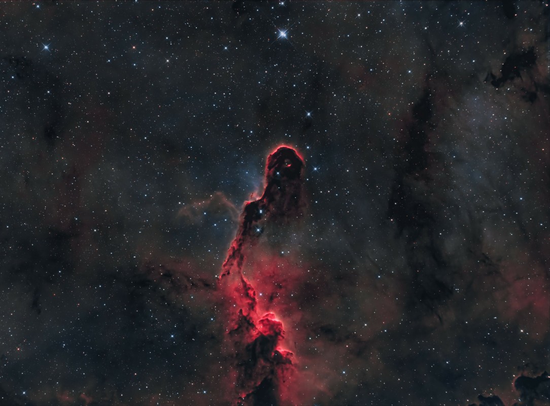 The Elephant's Trunk Nebula image