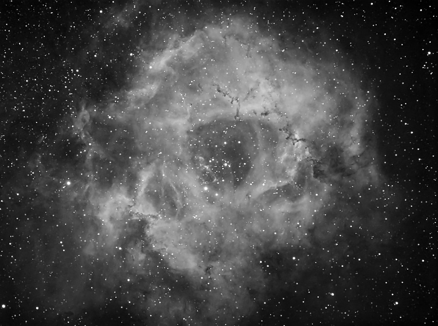 Rosette Nebula