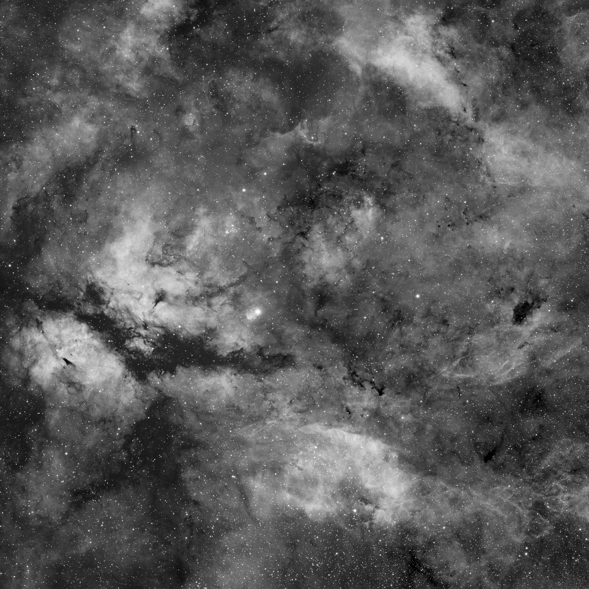 Gamma Cygnus