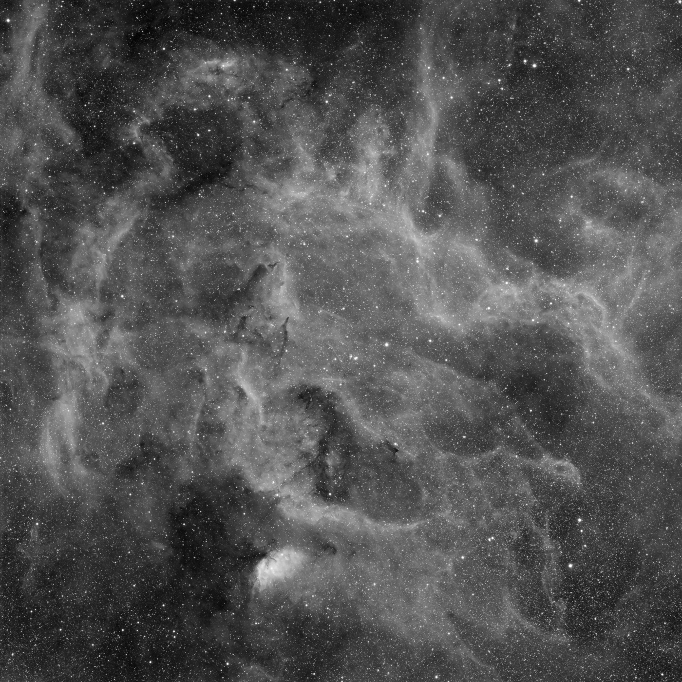 SH2 - 101
