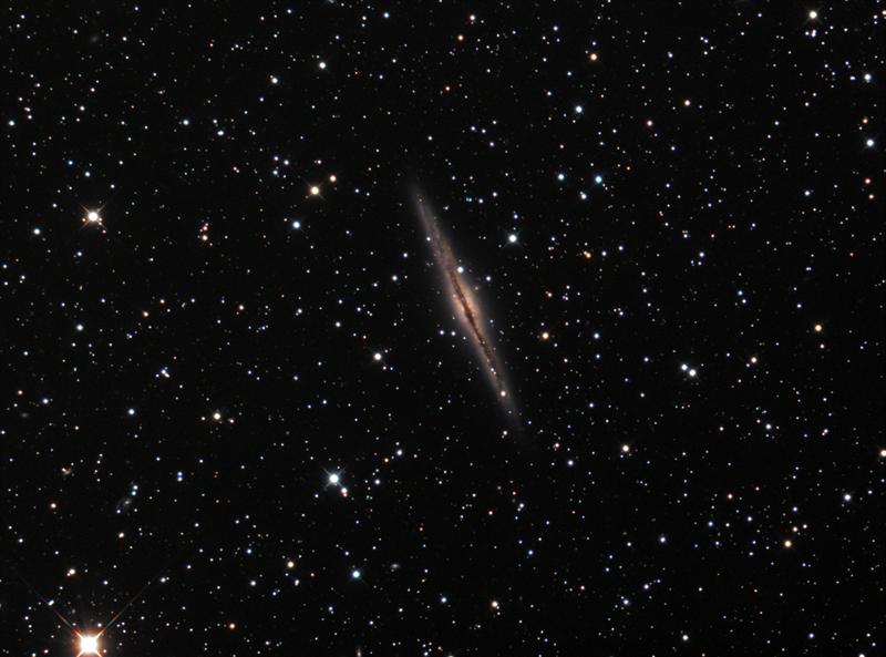 ngc891