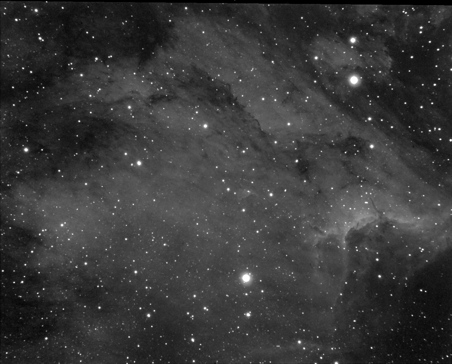 Pelican ST2000XM 25x10min TV76