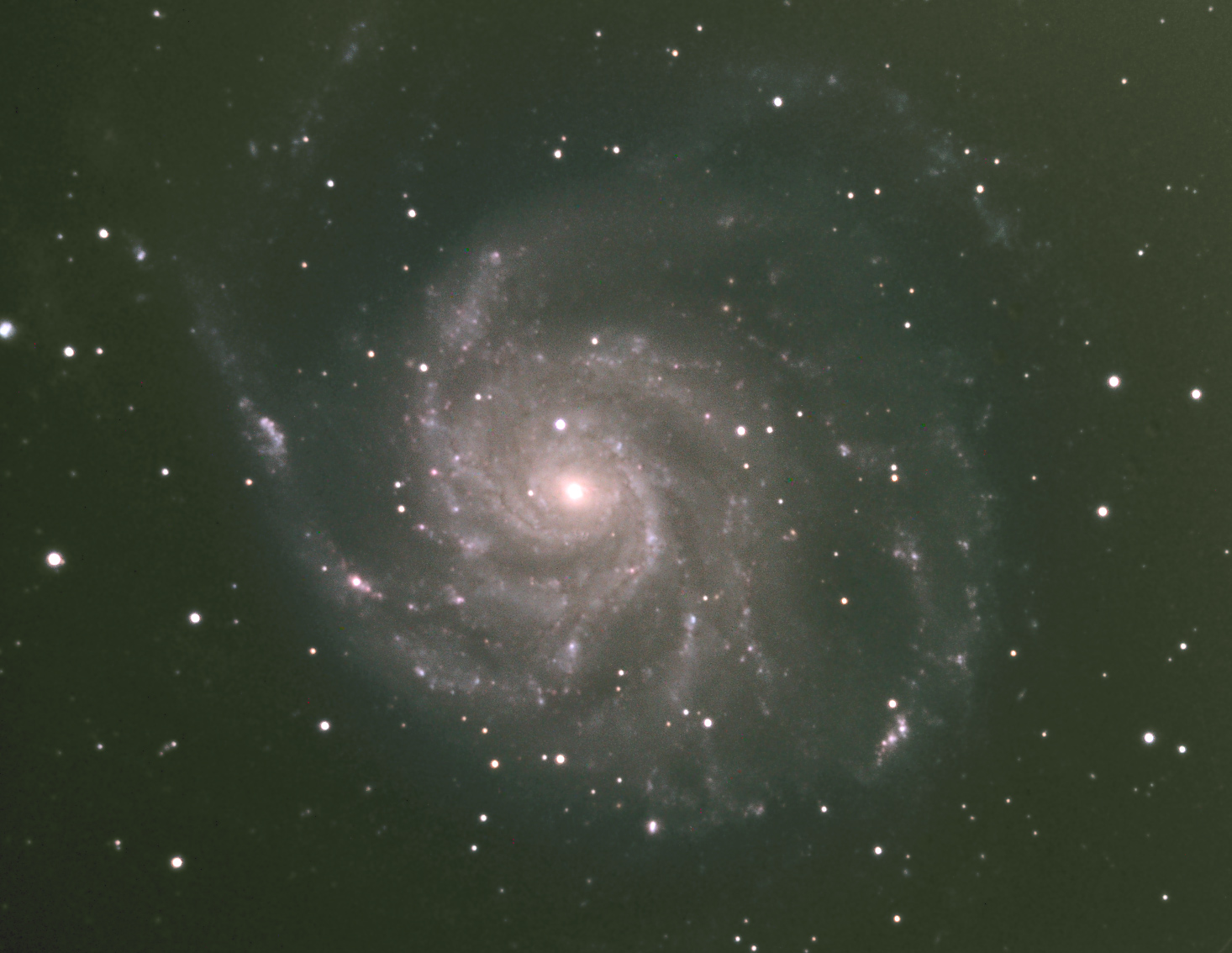 M101
