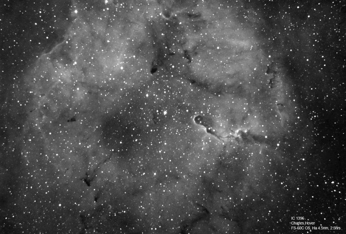 IC-1396 Ha Widefield