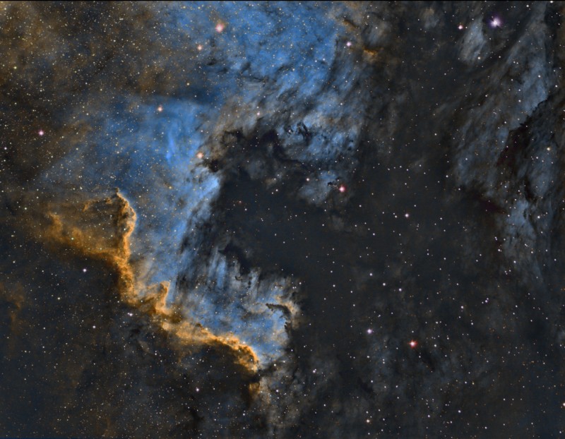 NGC 7000