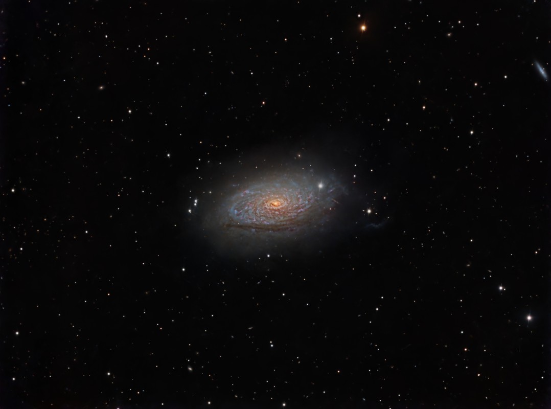 M63