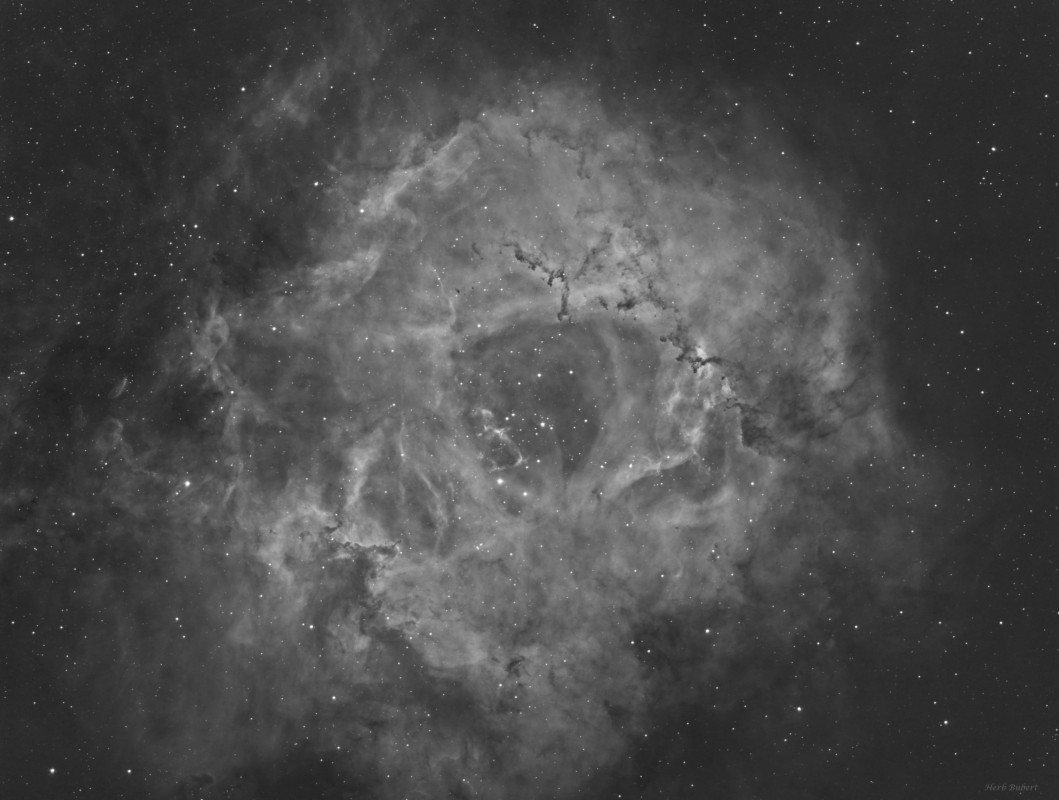 The Rosette Nebula in Ha