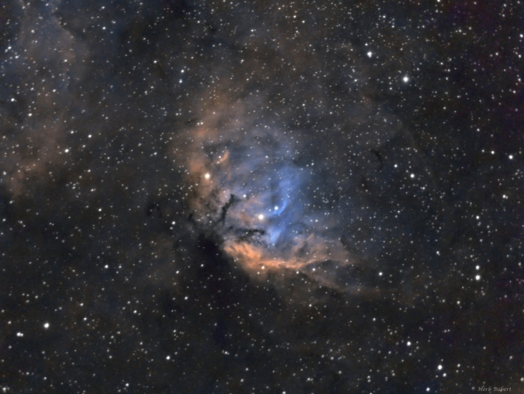 SH2-101 the Tulip Nebula image