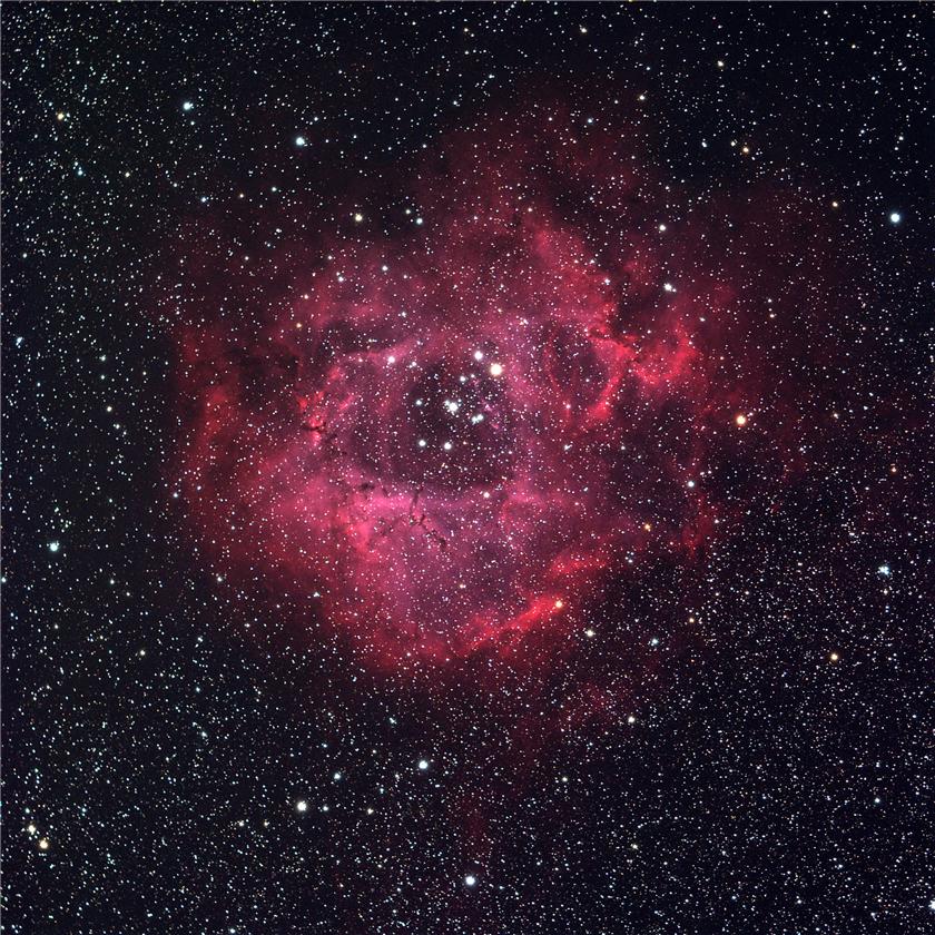 Rosette Nebula